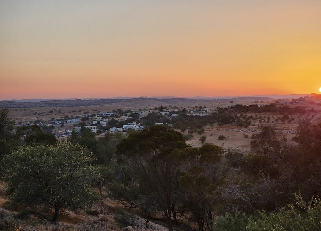 صورة المقال 2 في الترفيه
